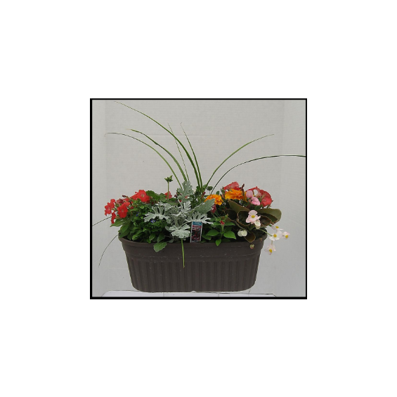 Memorial_Gardens