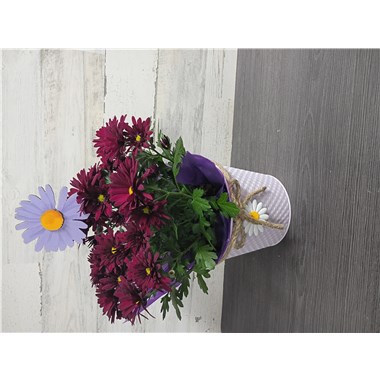 Chrysanthemum, 6" Pot Size