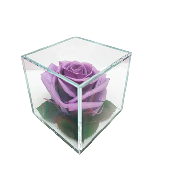 Infinite_Purple_Rose