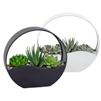 Suave_Metal_Succulent