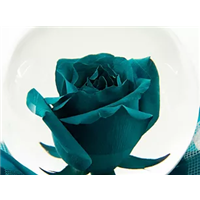teal_rose_globe